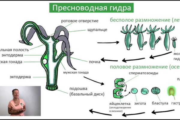 Kraken ссылки актуальные 2025 г