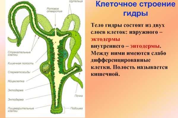 Кракен маркет зеркало