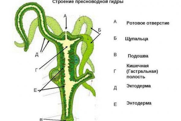 Кракен не работает сегодня